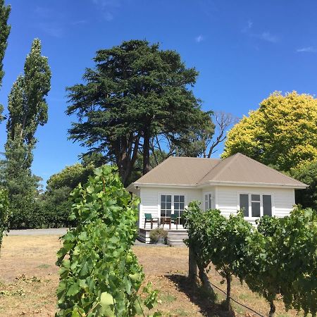 Tuki Vineyard Cottage Хейвлок Норт Екстериор снимка